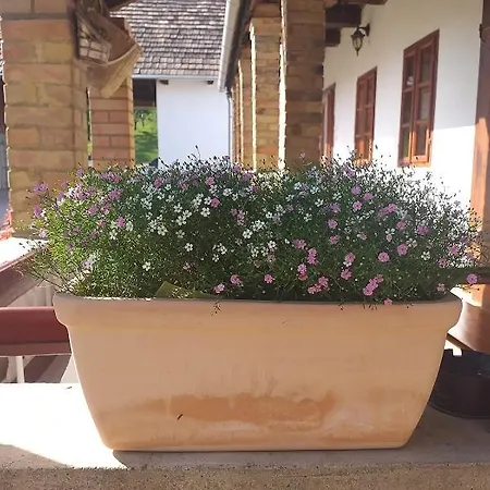 招待所 Pipacs Es Tulipan Vendeghaz Bodony