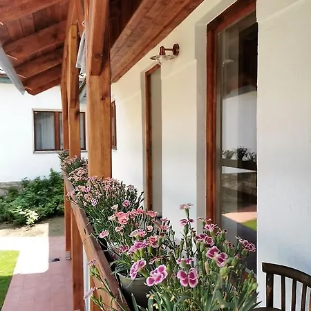 Pipacs Es Tulipan Vendeghaz 게스트하우스 Bodony